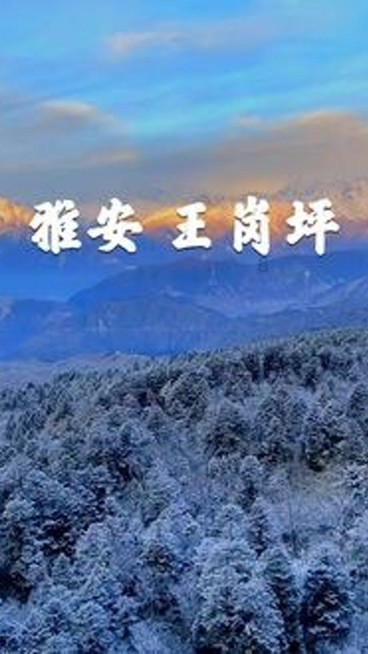 金沙9570(集团)股份有限公司