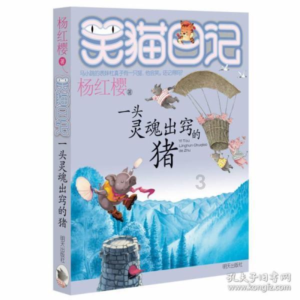 我国最大的岛屿是,解答你的疑惑!