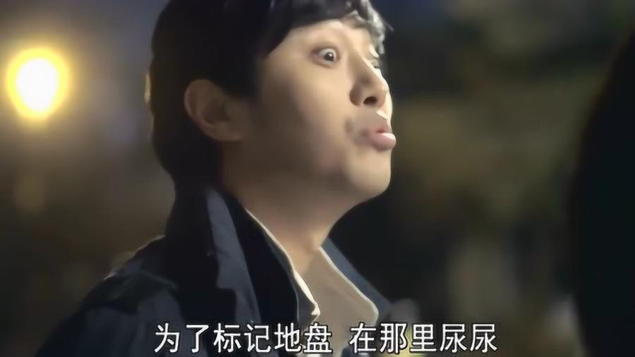 蓝狐视频